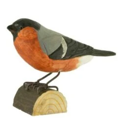 Tuinartikelen Winkel 17 Goudvink In Lindenhout - Handgemaakt